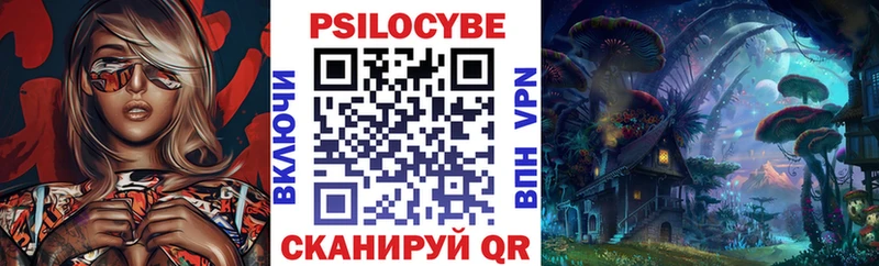 Псилоцибиновые грибы мицелий  где купить наркотик  гидра ссылка  Черкесск 